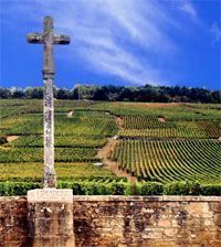 Domaine de la Roman�e Conti